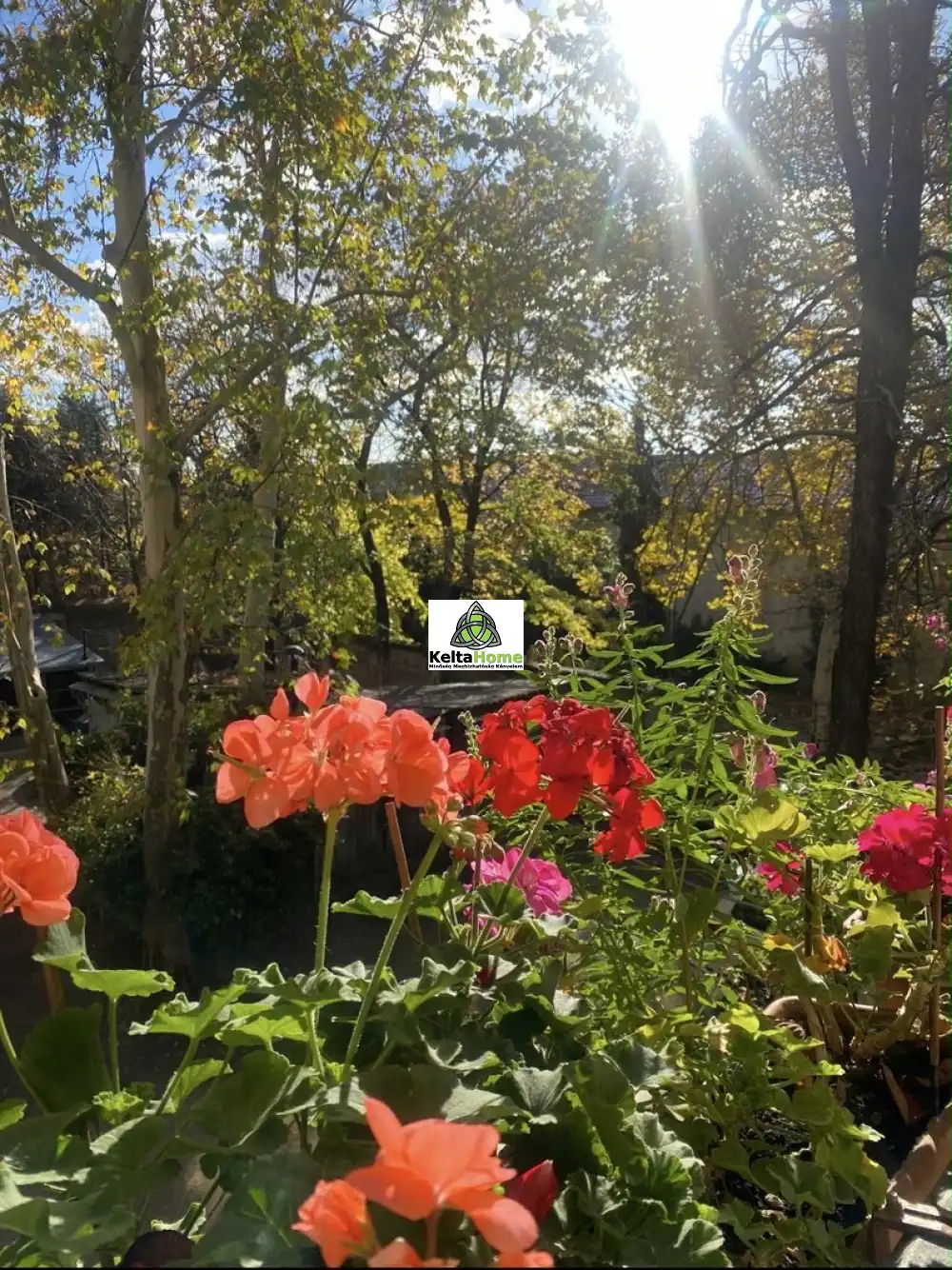 Budapest, X. kerület - Óhegy